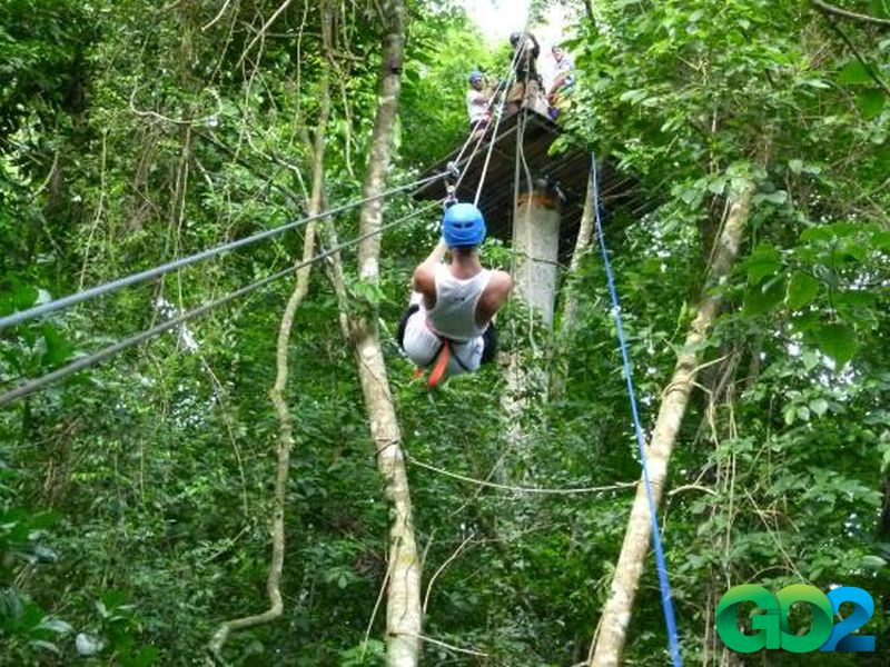 🌳 Canopy Zip Line Adventure – Fly Above the Forest in San Juan del Sur San Juan del Sur
